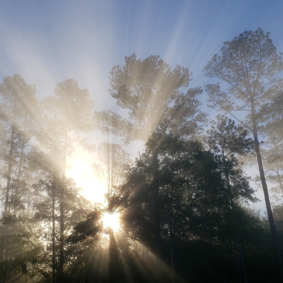 Meet your Posher, Gabriel - Picture 1 of 1